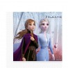 Kit Anniversaire La Reine des Neiges 2 - Pack Economique pour 8