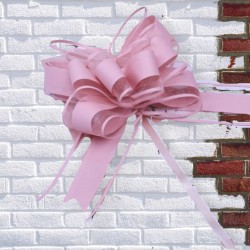 Noeud papillon organza 5cm x 75cm