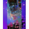 Kit Ballon Bubble Support et Led