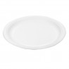 10 ASSIETTES RONDES EN CANNE À SUCRE - 23cm
