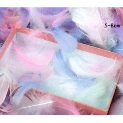Plumes multicolore