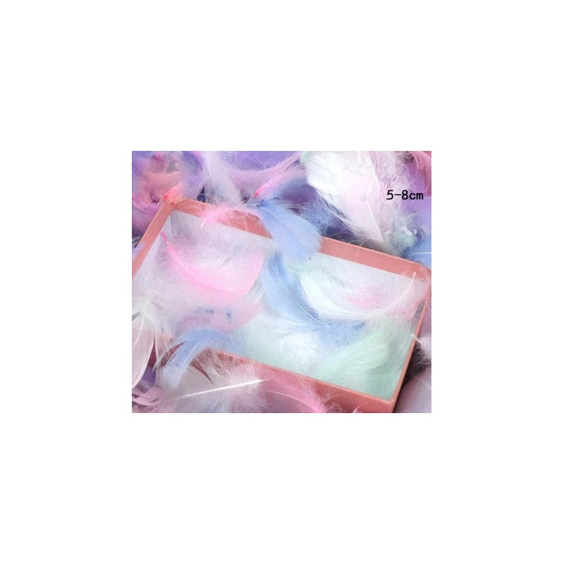 Plumes multicolore
