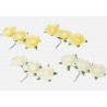 MINI ROSE DECORATIVE