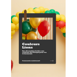 Pack Deco Football - Couleurs Lions (Essentiel)