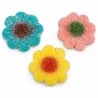 Bonbons Fleurs sucrées