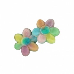 Bonbons Fleurs multicolores
