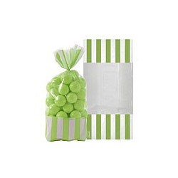 10 sachets rayés Vert 27 cm