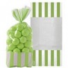 10 sachets rayés Vert 27 cm