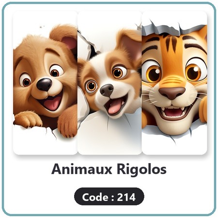 Code 214