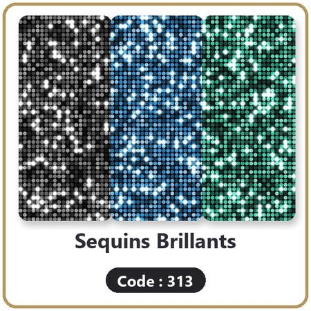 Code 313